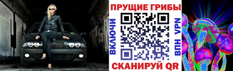 Псилоцибиновые грибы прущие грибы  Котельниково 